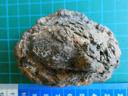 Meteoriet (Nikkel-IJzer) Australie