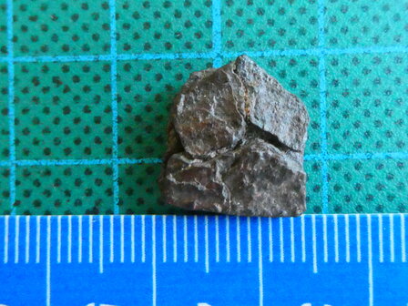 Meteoriet (nikkel-ijzer) Arizona