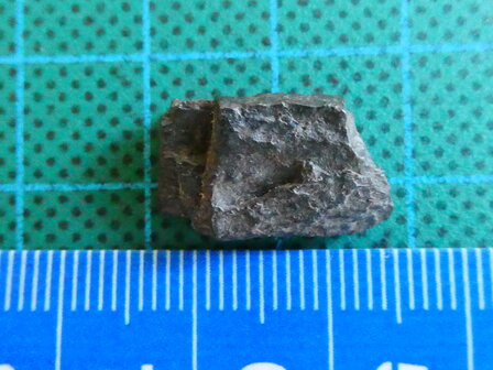 Meteoriet (nikkel-ijzer) Arizona (2)