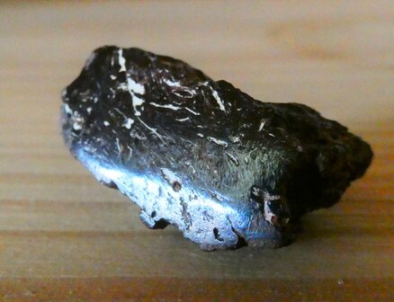 Meteoriet (nikkel-ijzer) Arizona (3)