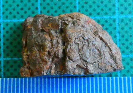 Meteoriet (nikkel-ijzer) Arizona (3)