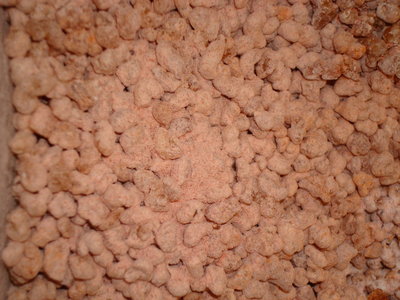 Sandalwood  Met de hand gemaakte natuurlijke wierook