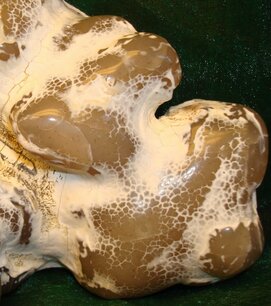 Edelsteen Remedie Chalcedoon Inhoud 10 cc Edelsteen Remedie Chalcedoon Inhoud 10 cc