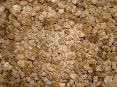 Antahkarana Met de hand gemaakte natuurlijke wierook Antahkarana Met de hand gemaakte natuurlijke wierook