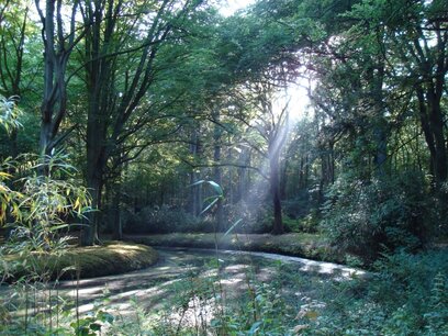 Bersih Met de hand gemaakte natuurlijke wierook Bersih Met de hand gemaakte natuurlijke wierook