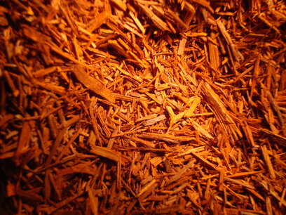 Sandalwood snippers 55 cc. Sandalwood snippers 55 cc.